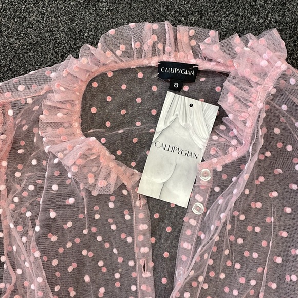 Callipygian sheer pink dots blouse size 8 NWT - Picture 2 of 4